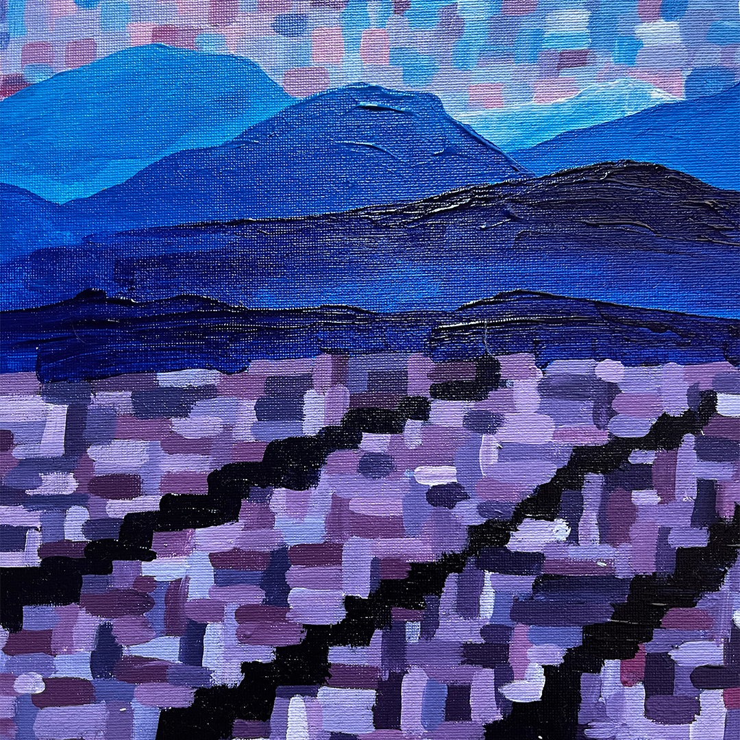 Lavender season - imagine 4